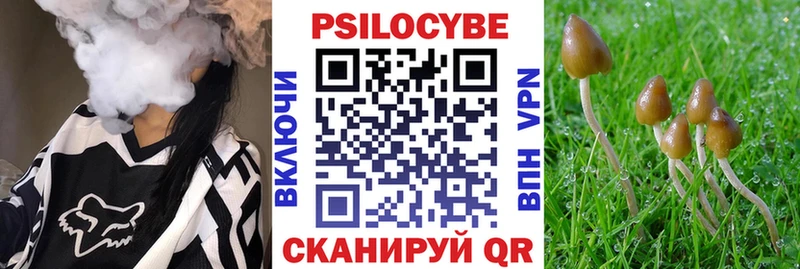 Псилоцибиновые грибы GOLDEN TEACHER  купить наркотики сайты  Нововоронеж 